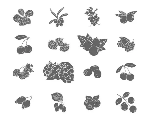 Vector illustration of Berry Icons set 05