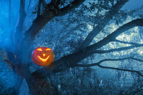 istock Halloween pumpkins in night forest 1175837173