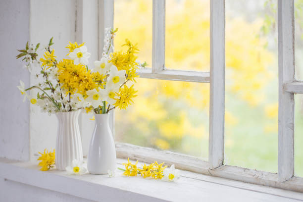 istock yellow spring flowers on windowsill 1175837197