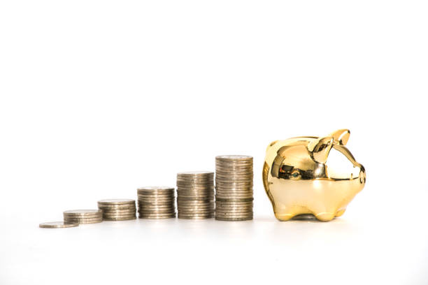 piggy bank isolated on white background