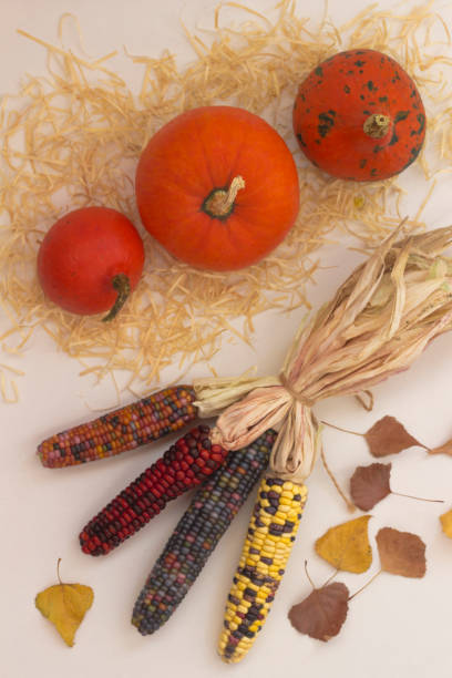 istock Orange pumpkins on a straw. Multi-colored ears of corn. Autumn leaves. Light background 1175840154