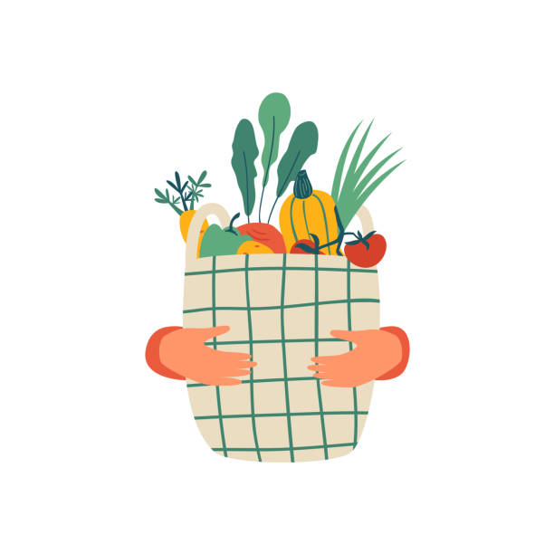 인간의 손은 흰색 배경에 고립 된 야채의 전체 에코 바구니를 개최 - 생활필수품 일러스트 stock illustrations