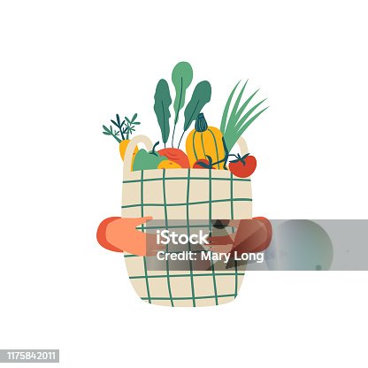 istock Human hands hold Eco basket full of vegetables isolated on white background 1175842011
