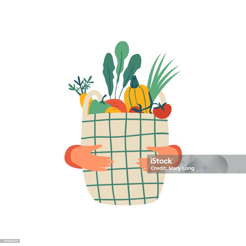 Human hands hold Eco basket full of vegetables isolated on white background Human hands hold Eco basket full of vegetables isolated on white background. Eco-friendly shopper with fresh organic food from local market. Vector illustration in flat cartoon style. Food stock vector