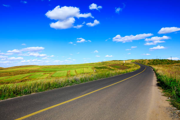 istock asphalt road on grassland 1175842316