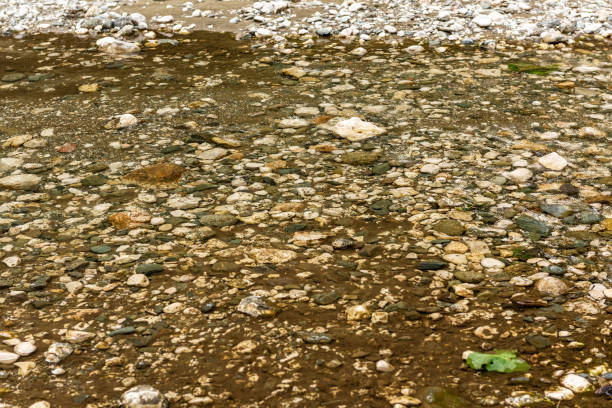 Detail of surface texture with small pebble rock on dirty ground; texture image