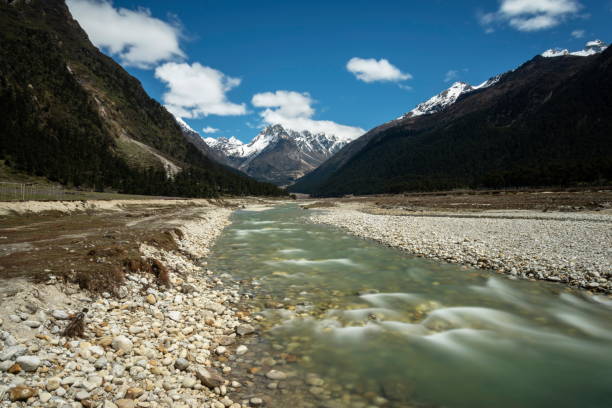 istock Yumthang at Yumthang Valley, Lachung, Sikkim, India 1175849140