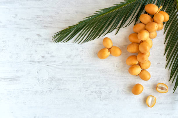 Fresh raw yellow dates with palm leaf on blue background. Top view Date - Fruit, Fruit, Food, Raw Food date palm tree stock pictures, royalty-free photos & images