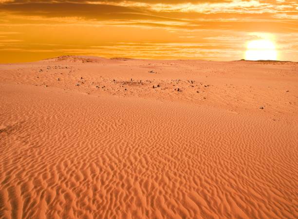 istock sunset in the desert 1175849277