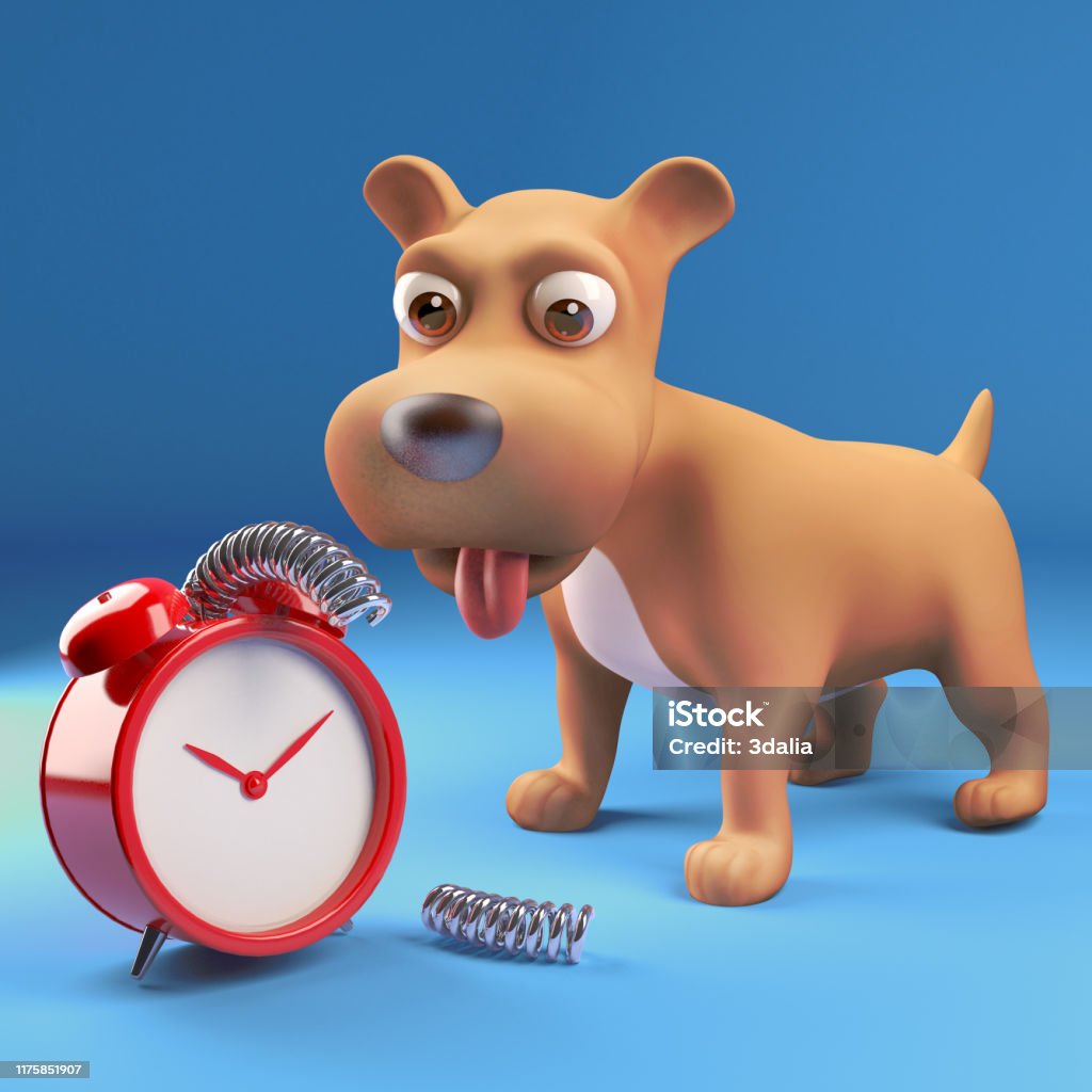 Conclusión Pareja Manchuria 3d Perro Cachorro De Dibujos Animados Ha Roto Un Reloj Despertador  Ilustración 3d Foto de stock y más banco de imágenes de Animal - iStock