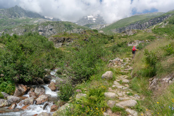 istock Italy Alps in cloudy weather 1175853354