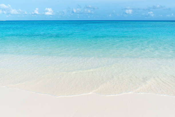 istock Sandy beach and clear turquoise sea water 1175854378