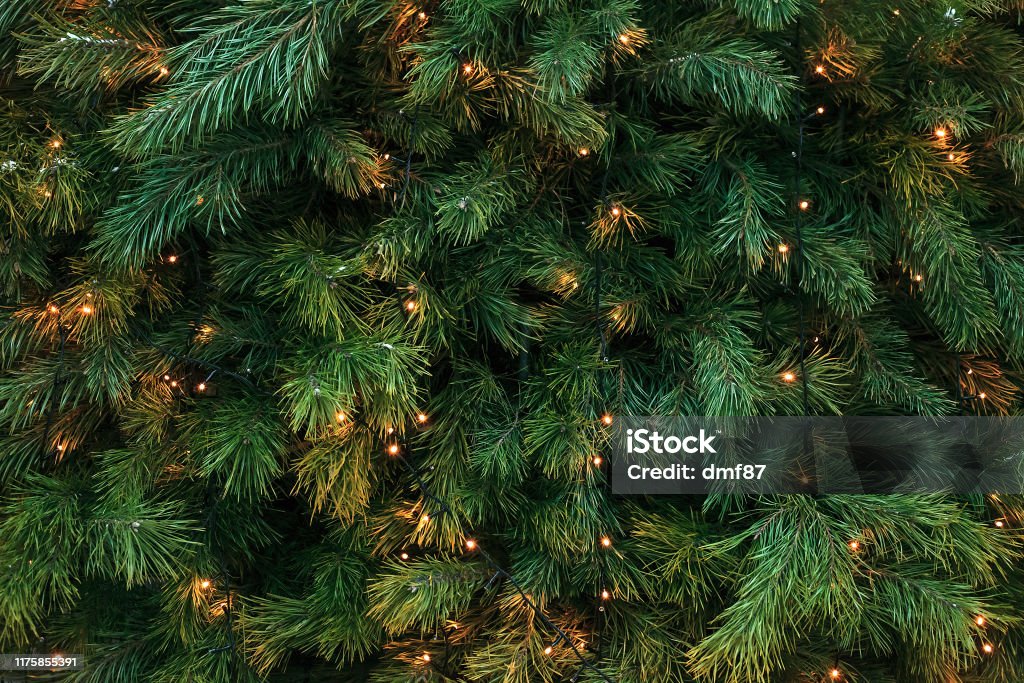 Pattern with green branches with pine illuminated garlands lights, soft focus Pattern with green branches with pine needles illuminated. Texture of coniferous tree decorated garlands lights. Christmas holidays backdrop soft focus Christmas Tree Stock Photo