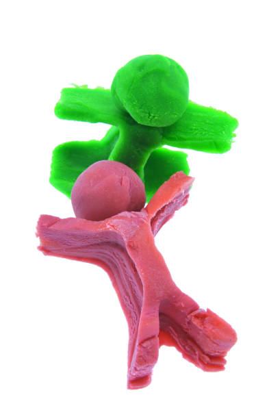 istock play dough toys 1175862352