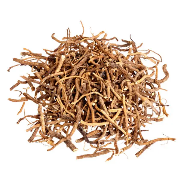 Valerian root for medical use. Isolated.