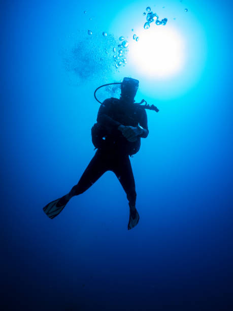 istock A scuba diver in the deep, blue sea 1175865710