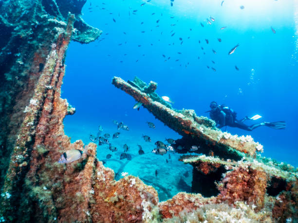 istock A scuba diver explores a sunken shipwreck 1175865744