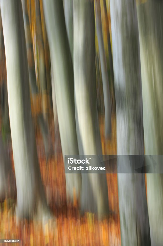 Pastel of blurry beech logs in the woods. Pastel of blurry beech logs in the forest. Abstract Stock Photo