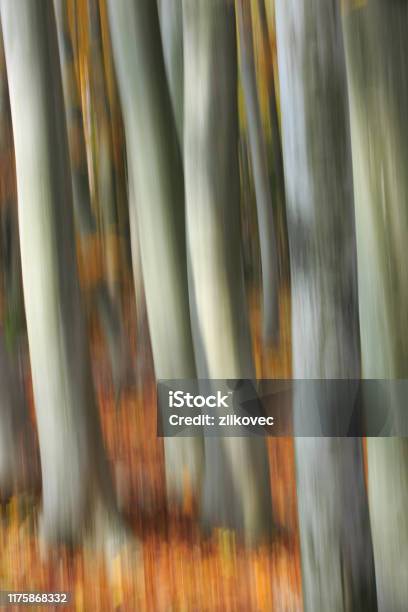 Pastel Of Blurry Beech Logs In The Woods Stock Photo - Download Image Now - Abstract, Art, Autumn