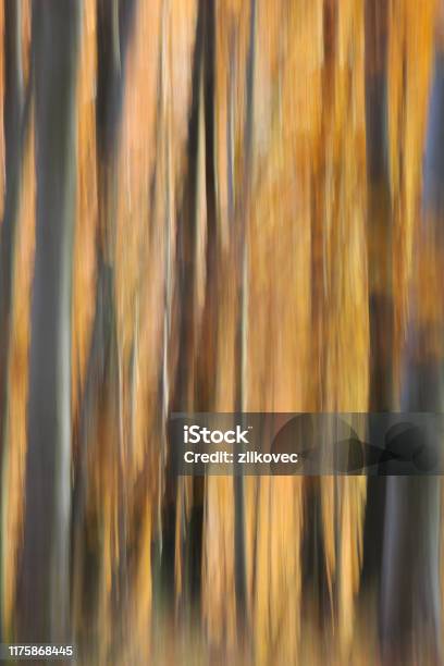 Pastel Of Blurry Autumn Colours In The Woods Stock Photo - Download Image Now - Abstract, Art, Autumn