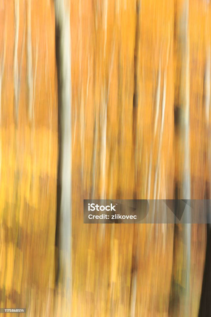 Pastel of blurry autumn colours in the woods. Pastel of blurry autumn colours in the forest. Abstract Stock Photo