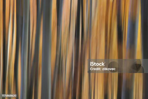 Pastel Of Blurry Autumn Colours In The Woods Stock Photo - Download Image Now - Abstract, Art, Autumn