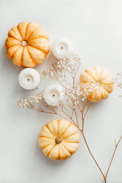 istock Flat lay composition of small pumpkins on a white background with decor. The concept of Thanksgiving and Fall time. 1175870855