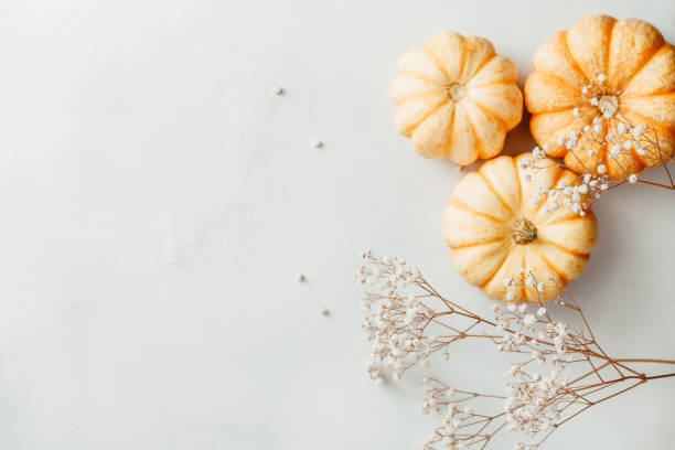 istock Flat lay composition of small pumpkins on a white background with decor. The concept of Thanksgiving and Fall time. 1175870857