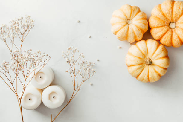 istock Flat lay composition of small pumpkins on a white background with decor. The concept of Thanksgiving and Fall time. 1175871033