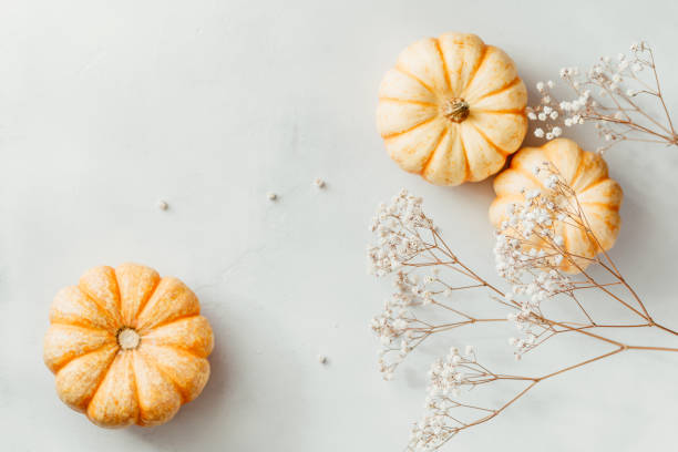 istock Flat lay composition of small pumpkins on a white background with decor. The concept of Thanksgiving and Fall time. 1175871063
