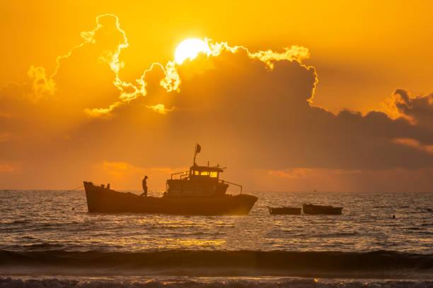 Fishing boats out to sea at dawn Fishing boats out to sea at dawn when the sun shines rays knob colorful welcome new day at sea basket boat stock pictures, royalty-free photos & images