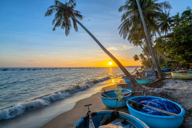 Sunset on the beach with tilted coconut trees, long sandy beaches and beautiful golden sky Sunset on the beach with tilted coconut trees, long sandy beaches and beautiful golden sky mui ne bay photos stock pictures, royalty-free photos & images
