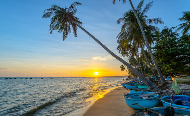 istock Sunset on the beach with tilted coconut trees, long sandy beaches and beautiful golden sky 1175872341
