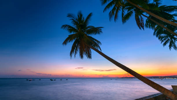 istock Sunset on the beach with tilted coconut tree beautiful golden sky 1175872342