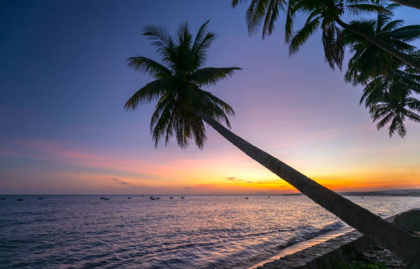 istock Sunset on the beach with tilted coconut tree beautiful golden sky 1175872415
