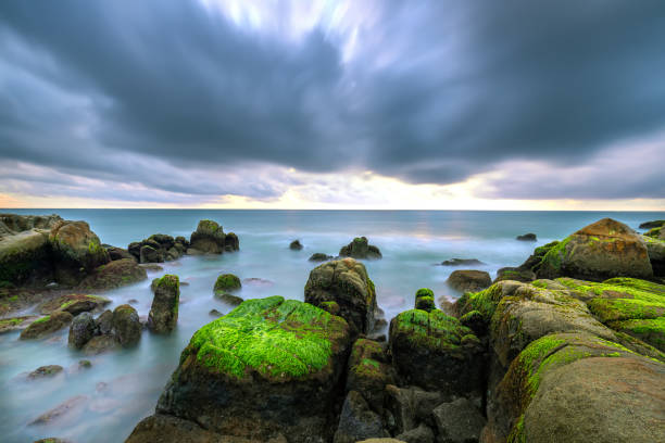 alghe verdi sulle rocce in spiaggia all'alba con cielo drammatico per accogliere il nuovo giorno - long exposure rock cloud sky foto e immagini stock