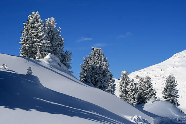 Sunny day in Alps stock photo