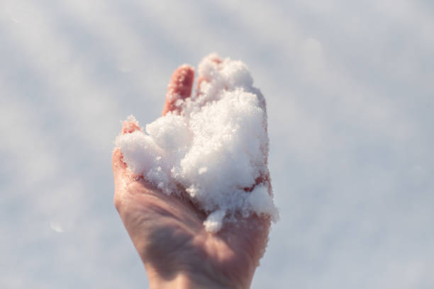 istock Snow in female hand 1175887080