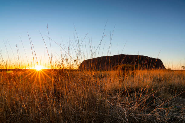 울루루 앳 선라이즈 - uluru australia northern territory sunrise 뉴스 사진 이미지