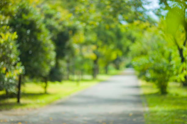 istock green nature blur bokeh background 1175890554