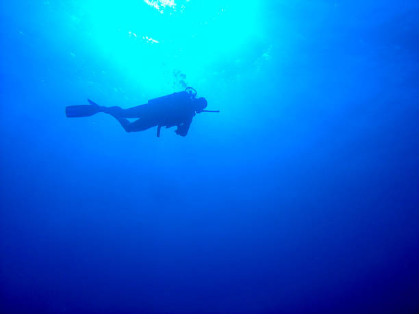 istock A scuba diver in the Red Sea, Egypt 1175891144