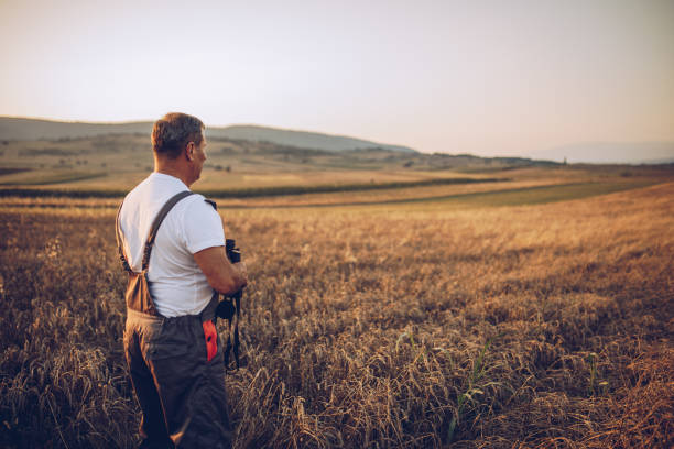 istock The farmer views the wheat farming field 1175891159