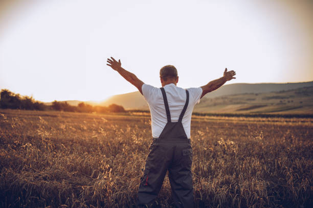 istock The farmer views the wheat farming field 1175891198