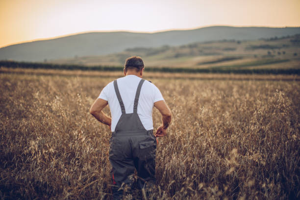 istock The farmer views the wheat farming field 1175891200