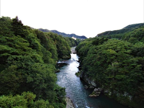 istock Kinugawa river in Nikko National Park, Japan 1175892211