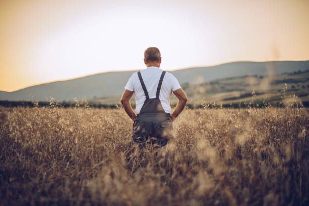 istock The farmer views the wheat farming field 1175892584