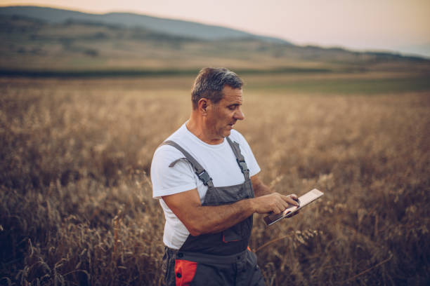 istock The farmer views the wheat farming field 1175893002