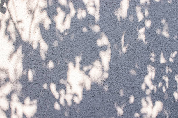 istock Wall texture concrete background grunge nature outdoor 1175895891