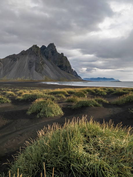 istock Vestahorn mountain, Iceland 1175896610