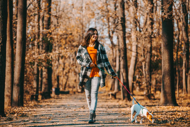 istock Autumn Walk With best friend 1175901210